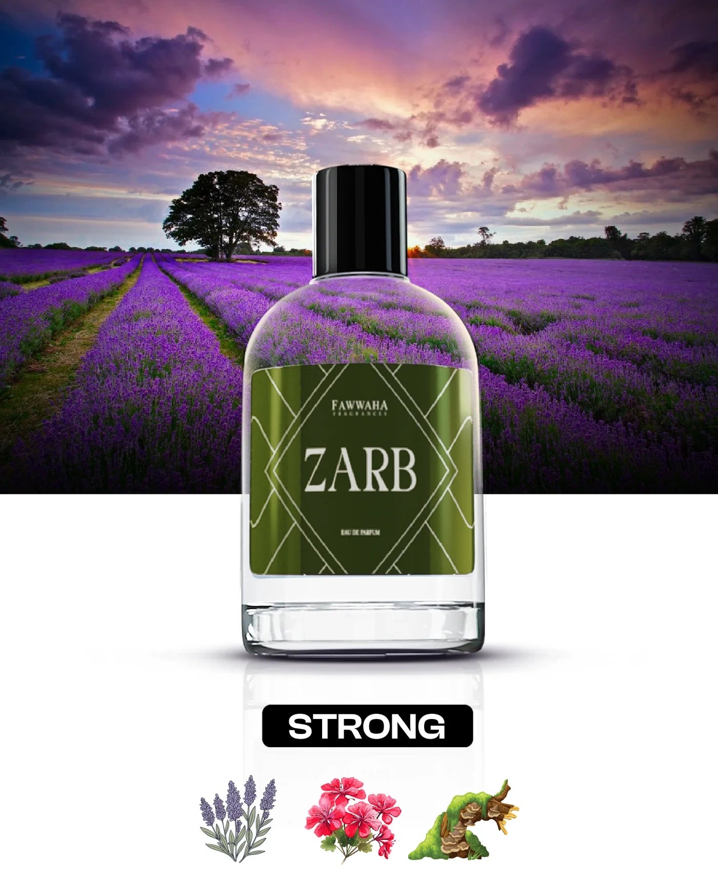 ZARB - OUR IMPRESSION OF AZZARO